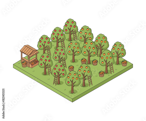 Isometric apple orchard with harvest and ladders