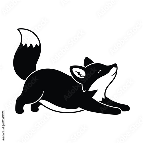 Cute black fox stretching out with its tail held high in a playful pose