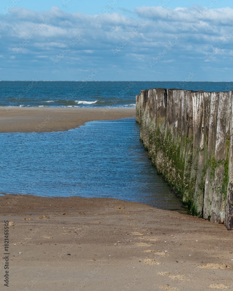 Fototapeta premium Wooden breakwaters on the North Sea