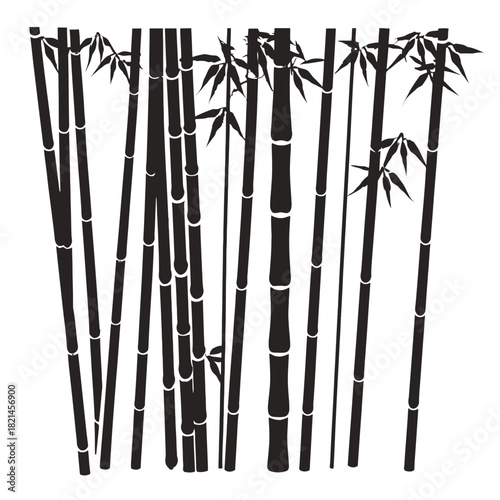 Silhouette of dense bamboo grove with leaves on white background, graphic art isolated on white background, Vector, illustration