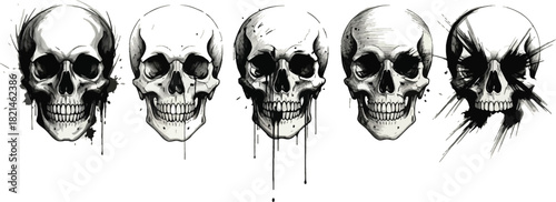Intricate skull illustrations lined up for edgy designs, perfect for Halloween or alternative fashion, add a touch of darkness to your project today