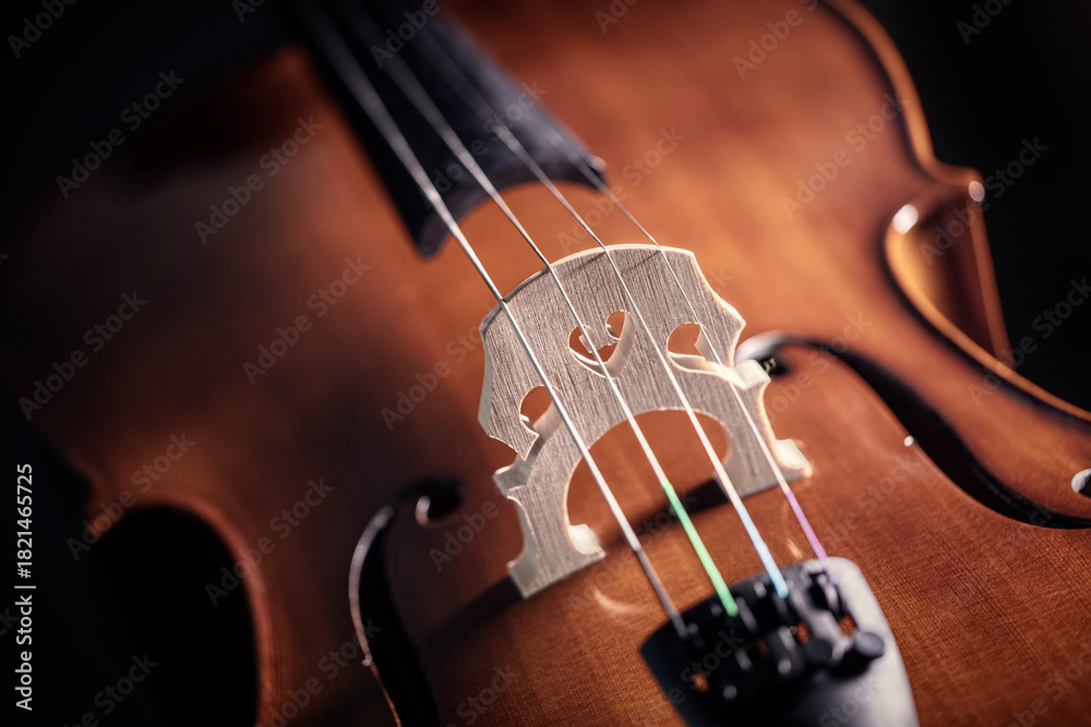 Fototapeta premium Cello on dark background