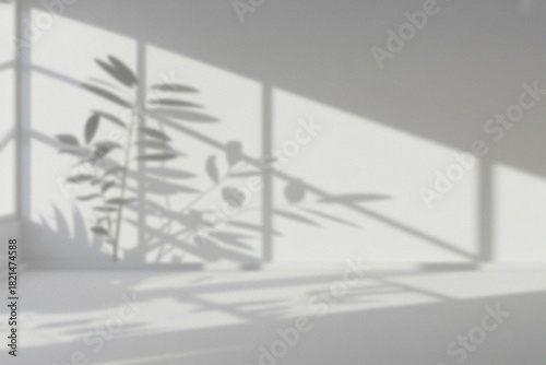 Shadows of a plant dancing on a wall with sunlight
