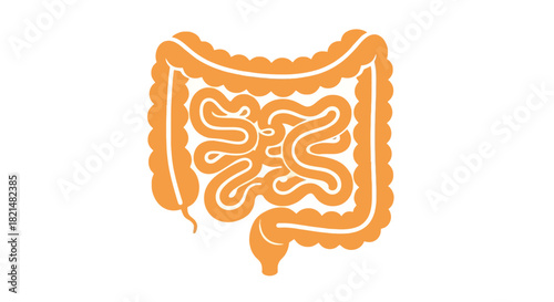 An illustration of the human digestive system showing the intestines and colon, depicted in a simple, stylized orange graphic