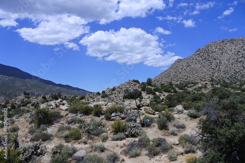 Panorama am Cahuilla Téewwenet Vista Point