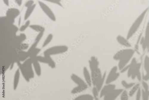 Subtle shadows of leaves dancing against a neutral backdrop. The interplay of light and shadow creates a captivating, minimalist aesthetic