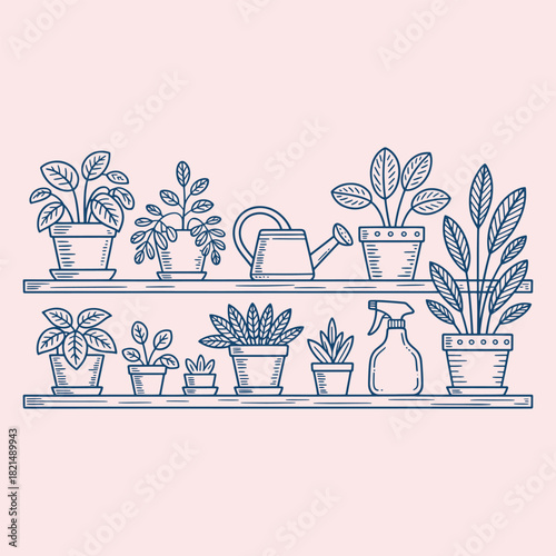 Line art illustration of potted plants on shelves with watering can and spray bottle houseplants