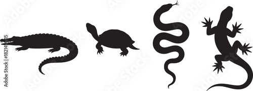 Silhouette set of four different reptile animal icons including crocodile turtle snake and lizard isolated on
