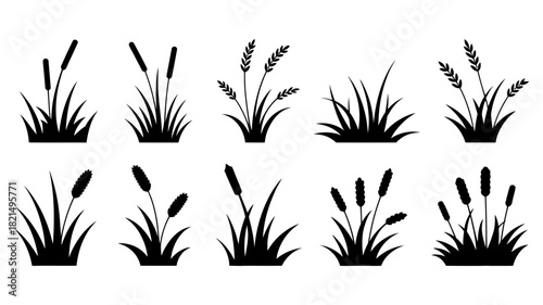 Various silhouetted plants, including diverse types of grass, reeds, and cattails, creating a natural and organic design element set.