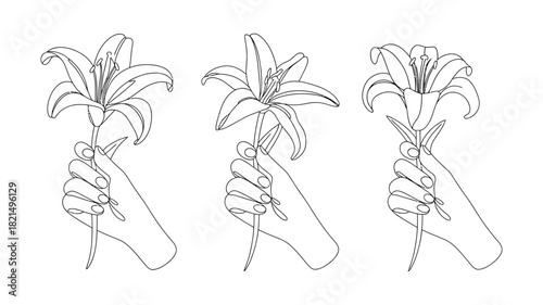 Minimalist continuous line art illustration featuring a delicate hand gently holding a lily flower, elegant floral design element, nature beauty