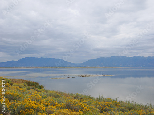 Serene Great Salt Lake view framed by yellow flowers and distant mountains