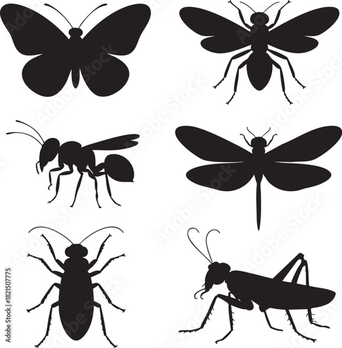 Six black insect silhouettes including butterfly bee ant dragonfly beetle grasshopper vector