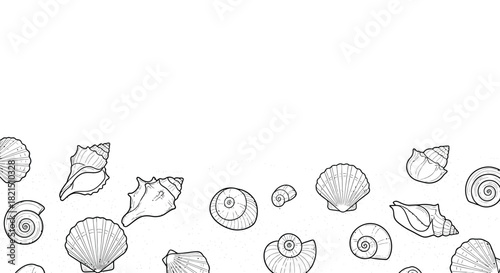 Collection of hand-drawn seashells on a sandy texture