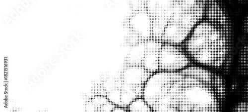 Pixelated bitmap gradient texture. Black and white dither pattern background. Abstract glitchy pattern. 8 bit video game screen wallpaper. Wide raster backdrop. Retro pixel art Illustration