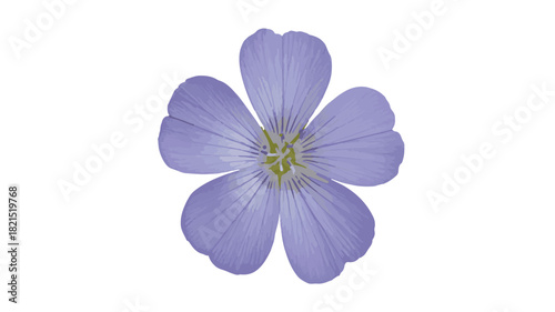 Single Light Purple Flax Flower with Five Petals and Green Center on White linum lavender