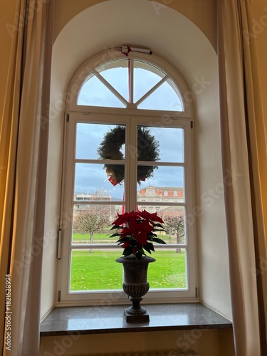window with flowers