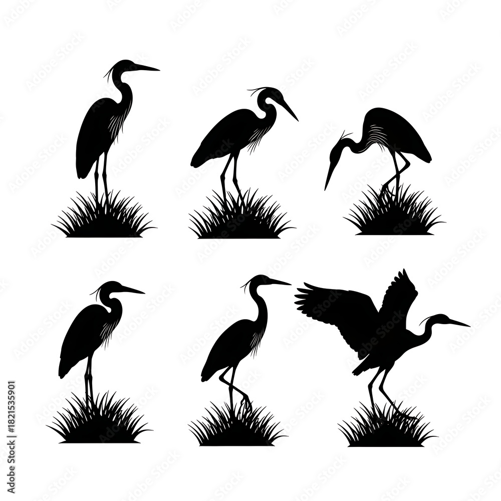 Naklejka premium Heron and crane bird silhouettes on grass vector set