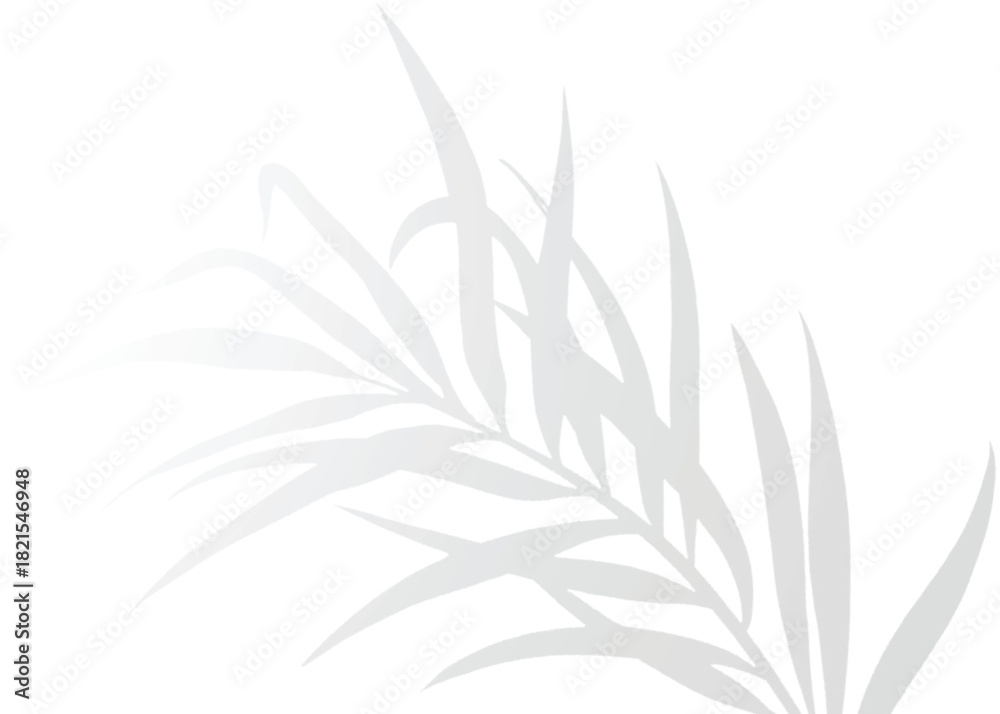 Fototapeta premium Vector Transparent Shadow Leaf Overlay Effect for Realistic Elegant Mockups, Inspired Design Elements