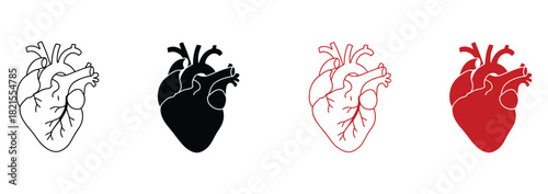 Anatomical heart illustrations perfect for medical, educational, and health-related designs, featuring minimalist line art in black, white, and vibrant red for impactful visual storytelling