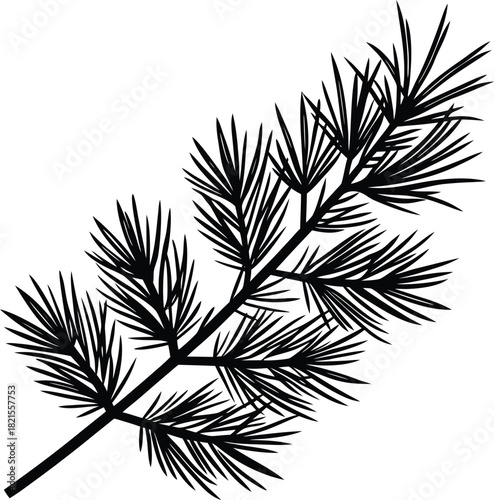 Pine branch silhouette Black silhouette pine branch with detailed needles