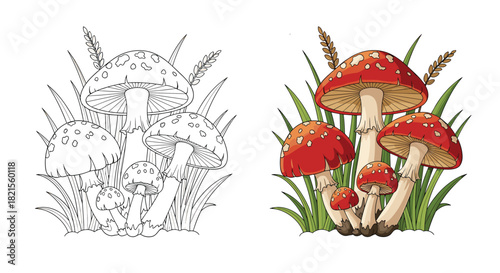 Coloring page and corresponding colored example of a group of fly agaric mushrooms with red caps and white spots in grass.