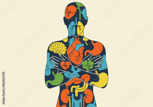 Colorful human anatomy with organ design in silhouette style