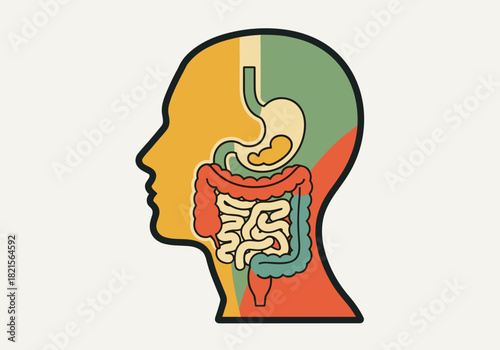 Colorful anatomy silhouette highlighting human digestive system