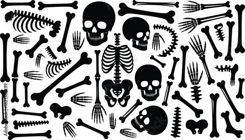 Human bone silhouette vector set, black skull spine rib cage pelvis femur hand foot, anatomy graphic, medical illustration, design