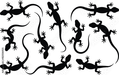 Lizard silhouette vector set, black reptile poses, crawling walking crouching, tail limbs toes, wildlife graphic, nature illustration, design