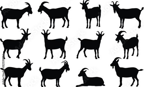 Goat silhouette vector set, black animal poses, horn shapes, standing walking lying, livestock illustration, farm animal, anatomy, graphic