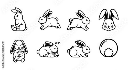Collection of Adorable Rabbit Illustrations in Various Poses.