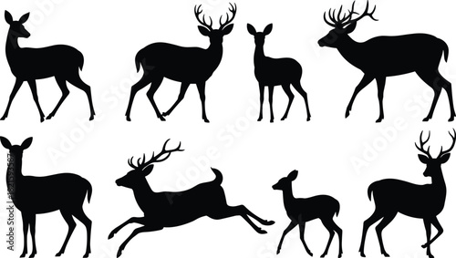 Deer silhouette collection, black deer icons, vector animal poses, antlered stag graphics, wildlife clipart, isolated deer design elements