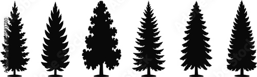 Coniferous tree silhouettes, black vector icons, evergreen shapes, pine, fir, spruce designs, forest graphic elements, botanical nature forms