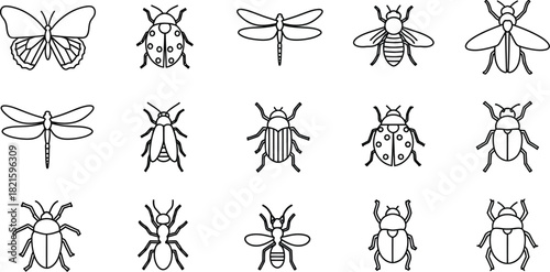 Collection of insect sketches in black and white line art style