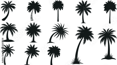 Palm tree silhouette collection tropical exotic vacation design elements