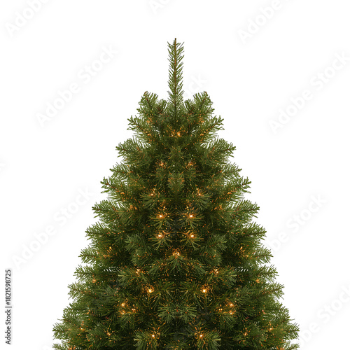 Christmas Tree Fully Lit and Ready for Decorations in a Bright Setting