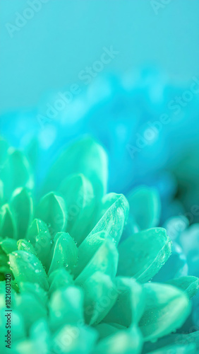 Serene macro of turquoise flower petal with an abstract aqua background. delicate image has soft focus and bokeh, creating calm and peaceful visual design