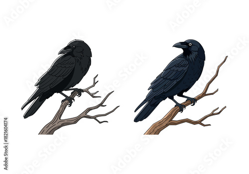 Two Detailed Illustrations of Crows Perched on Branches with a Realistic Appearance