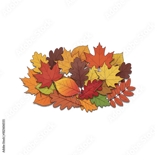A vibrant pile of colorful autumn leaves in various shapes and fall colors, isolated on a white background. Seasonal illustration of fall foliage