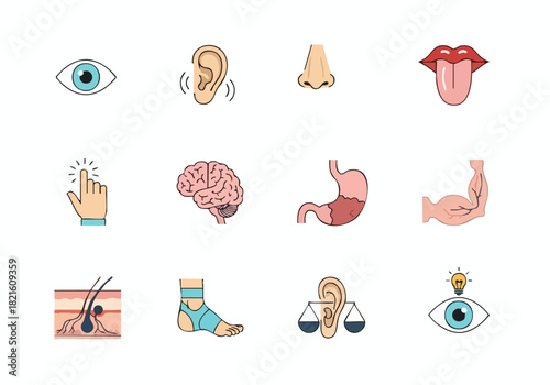 Sensory Perception Exploring the Five Senses Through Visual Metaphors