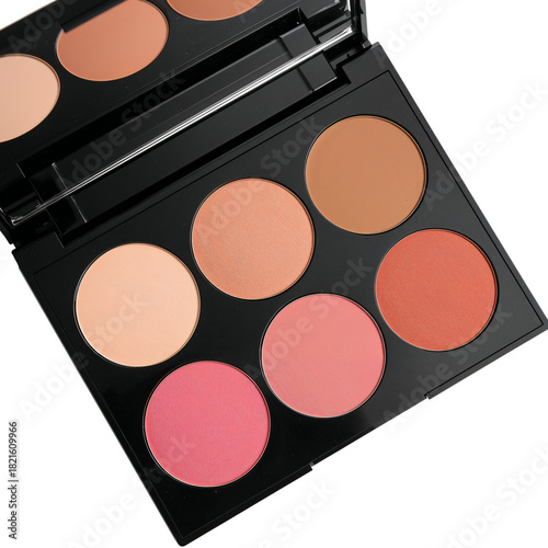 Palette With Six Shades of Blush and Bronzer for Makeup Application