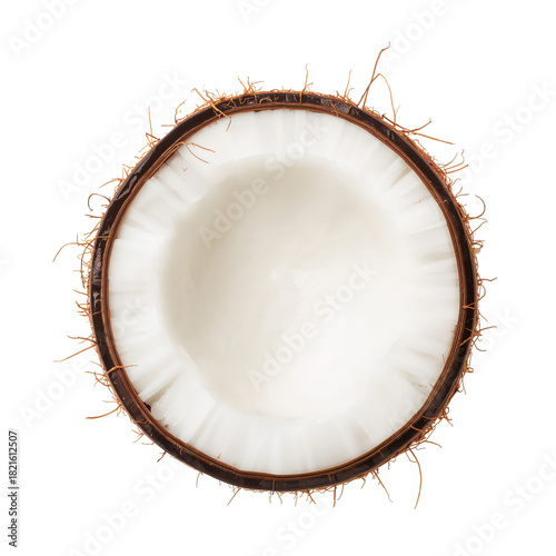 Fresh Coconut Cut in Half With Soft White Flesh Exposed and Brown Shell