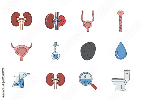 Kidney Health Icons A Visual Guide to Urinary System and Kidney Disease