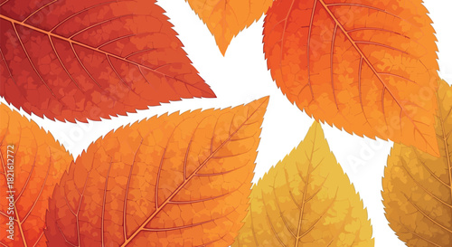 Vibrant Autumn Leaves Transitioning Through Colors of Orange and Yellow