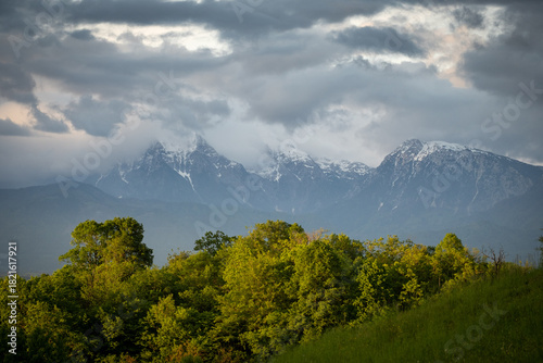 Kamnik alps in heavy clouds with forest in foreground