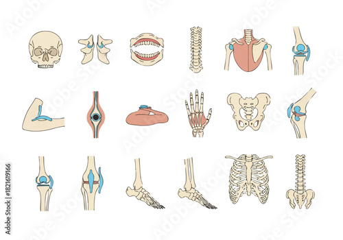 Dental Care and Hygiene Tooth Decay Prevention Illustrated