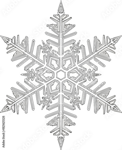 Intricate Snowflake: A captivating depiction of a unique snowflake, its delicate and symmetrical structure shimmering with pristine clarity, showcasing the exquisite beauty of winter.