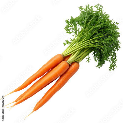 Freshly Harvested Orange Carrots With Green Tops on a White Background
