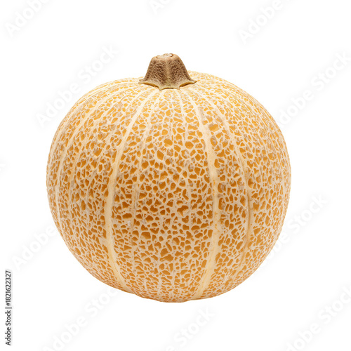 Fresh Melon With a Textured Orange Rind Displayed on a Clean Surface