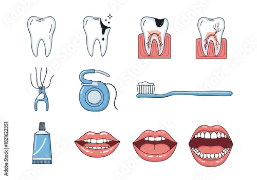 Colorful Anatomical Illustration of Human Brain, Spine, Nerves, Blood Vessels, and Sensory Organs
